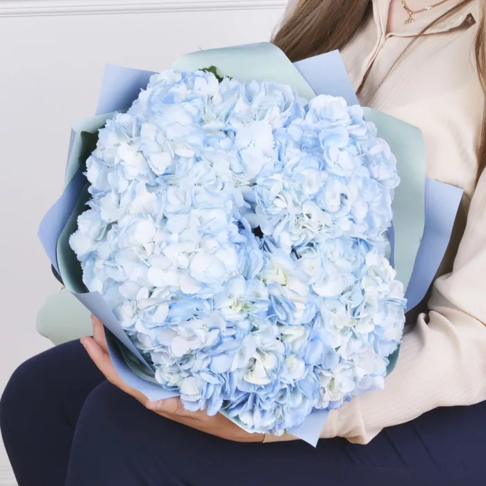 Букет из 5 голубых гортензий в пленке