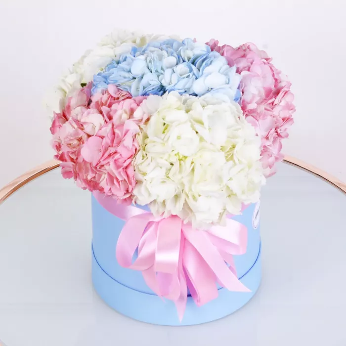 Шляпная коробка с букетом из 5 разноцветных гортензий