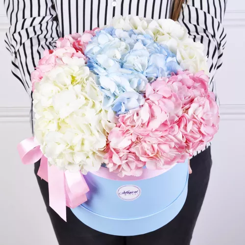 Шляпная коробка с букетом из 5 разноцветных гортензий