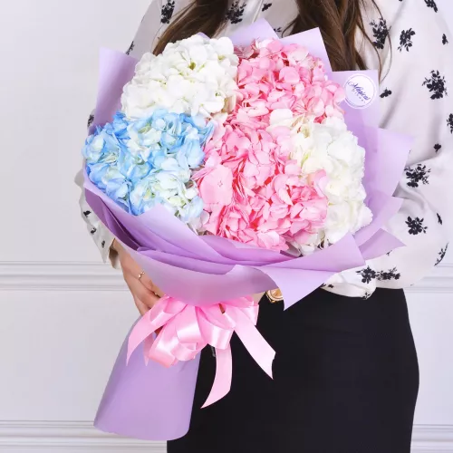 Букет из 5 гортензий