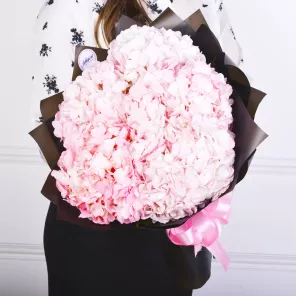 Букет из 5 розовых гортензий