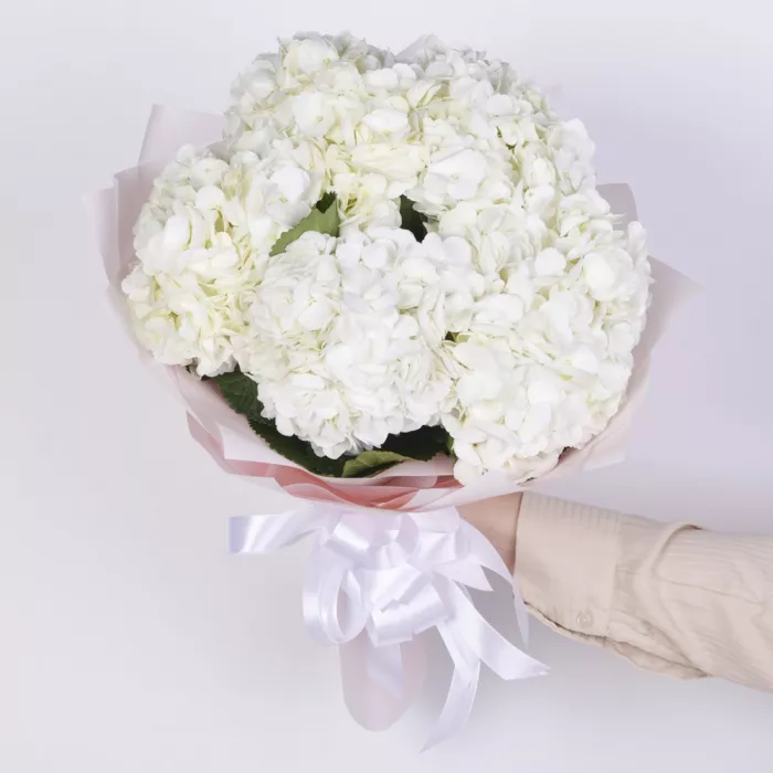 Букет из 5 белых гортензий в пленке