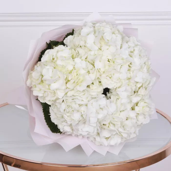 Букет из 5 белых гортензий в пленке