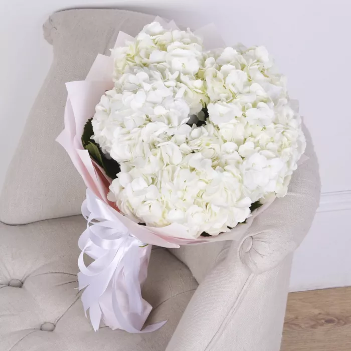 Букет из 5 белых гортензий в пленке