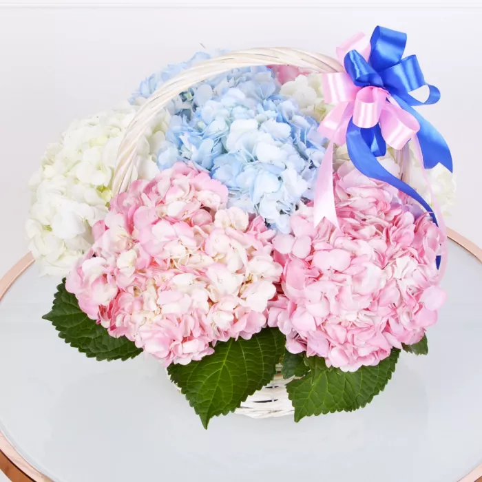 Корзина 7 Гортензий