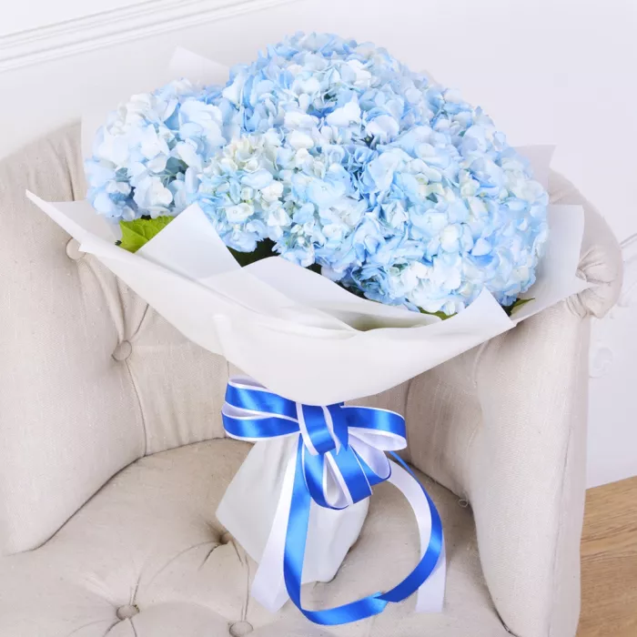 Букет из 7 голубых гортензий в пленке