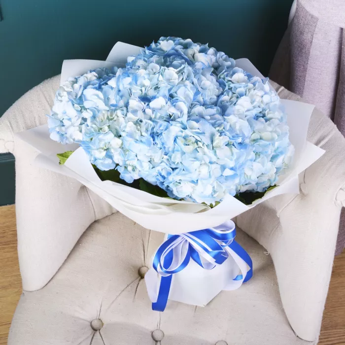 Букет из 7 голубых гортензий в пленке