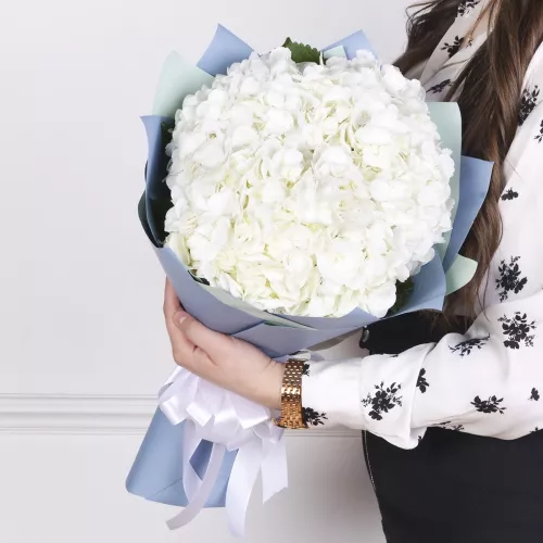 Букет из 3 гортензий в пленке