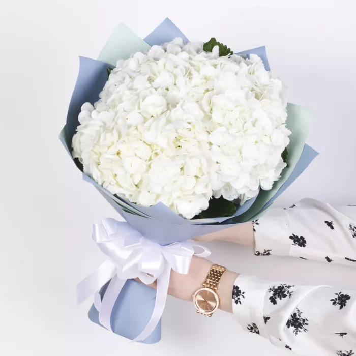 Букет из 3 гортензий в пленке