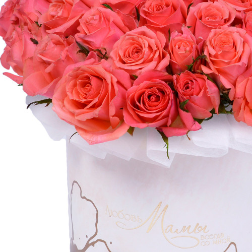 Букет на День матери из 51 коралловой розы в коробке на День матери