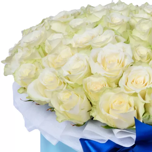 Букет из 51 белой розы в шляпной коробке
