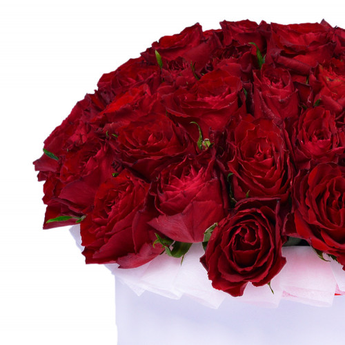 Букет из 51 красной розы в шляпной коробе