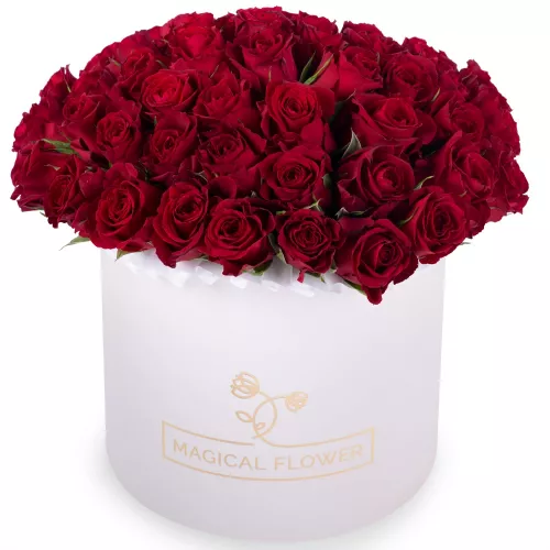 51 красная роза в кремовой шляпной коробке