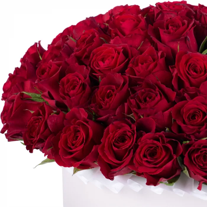 51 красная роза в кремовой шляпной коробке