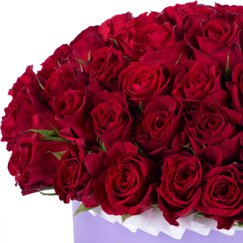 51 красная роза в фиолетовой шляпной коробке