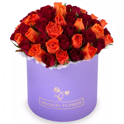51 разноцветная роза в фиолетовой шляпной коробке