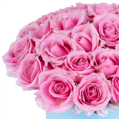 Букет из 25 розовых роз premium в голубой шляпной коробке