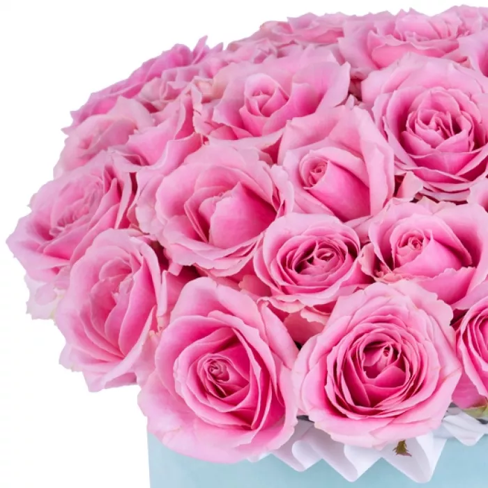 Букет из 25 розовых роз premium в зеленой бархатной шляпной коробке