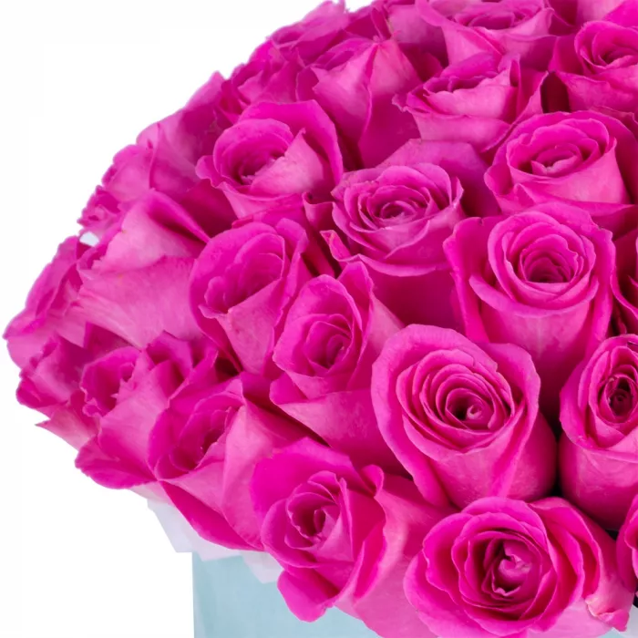 Букет из 75 розовых роз в зеленой бархатной шляпной коробке