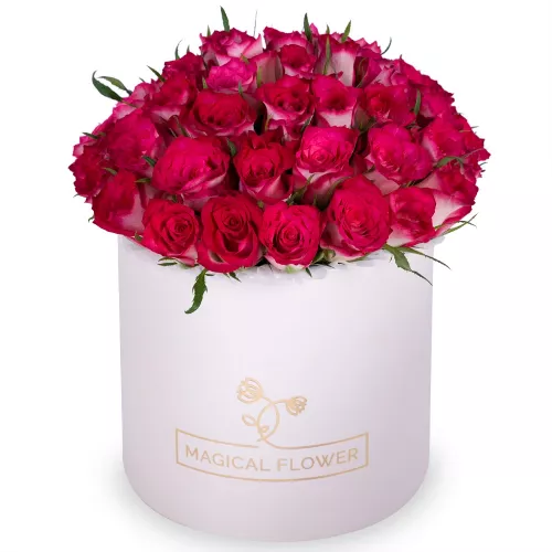 Букет из 51 бело-малиновой розы в кремовой шляпной коробке