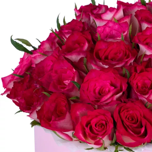 Букет из 51 бело-малиновой розы в розовой шляпной коробке