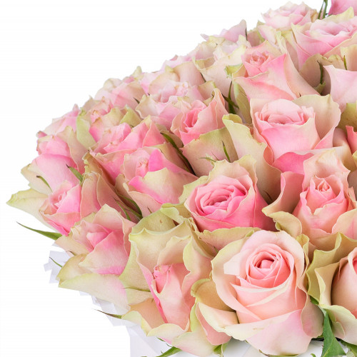 Букет из 75 бело-розовых роз в кремовой шляпной коробке