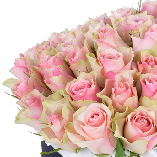 Букет из 75 бело-розовых роз в черной шляпной коробке