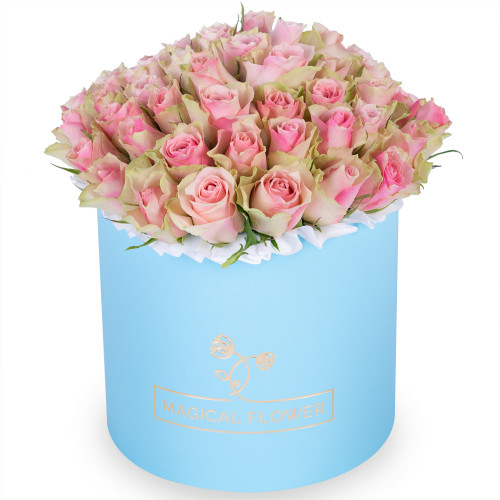 Нежный букет из 75 бело-розовых роз в голубой шляпной коробке