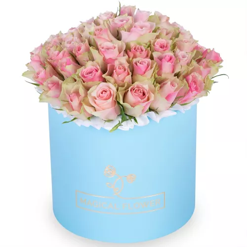 Букет-гигант из 75 бело-розовых роз в голубой шляпной коробке