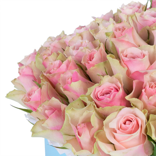Нежный букет из 75 бело-розовых роз в голубой шляпной коробке