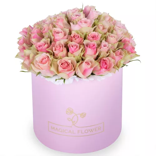 Большой букет из 75 бело-розовых роз в розовой шляпной коробке