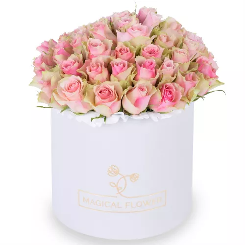 Букет из 75 бело-розовых роз в белой шляпной коробке