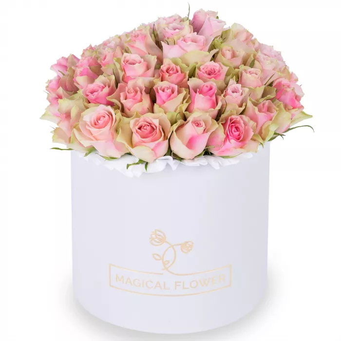 Букет из 75 бело-розовых роз в белой шляпной коробке