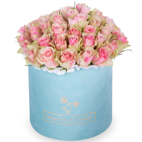 Букет из 75 бело-розовых роз в зеленой бархатной шляпной коробке