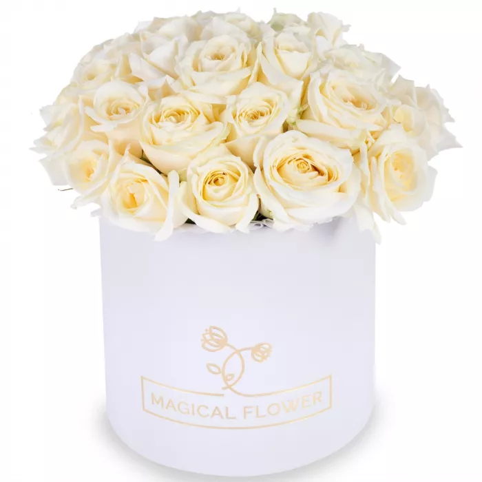 Букет из 35 белых роз premium в белой шляпной коробке