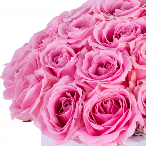 Большой букет цветов из 35 розовых роз premium в белой шляпной коробке
