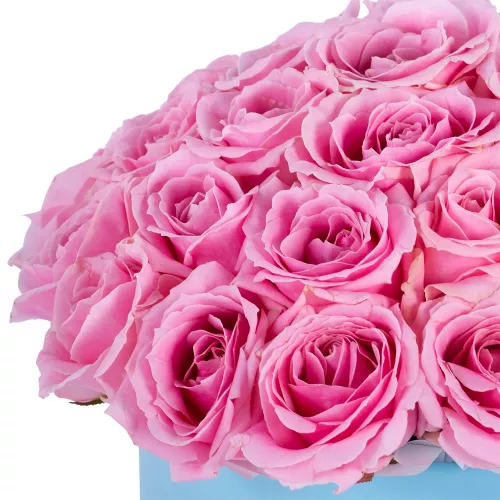 Большой букет цветов из 35 розовых роз premium в голубой шляпной коробке