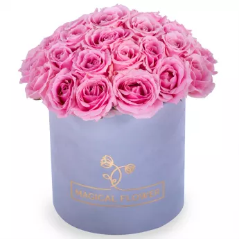 Букет из 35 розовых роз premium в серой бархатной шляпной коробке