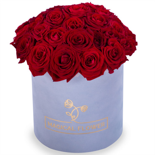Букет из 35 красных роз premium в серой бархатной шляпной коробке