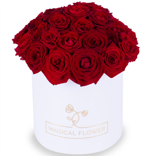 Букет из 35 красных роз premium в белой шляпной коробке