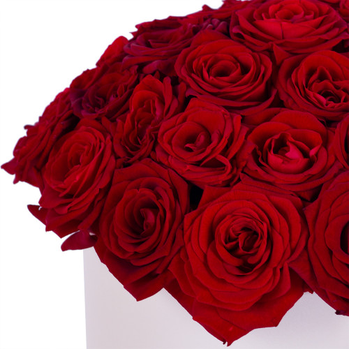 Букет из 35 красных роз premium в кремовой шляпной коробке
