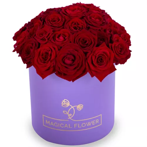 Букет из 35 красных роз premium в фиолетовой шляпной коробке
