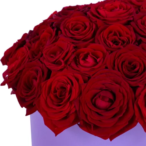 Букет из 35 красных роз premium в фиолетовой шляпной коробке