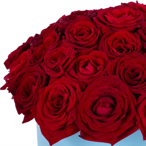 Букет из 35 красных роз premium в голубой шляпной коробке
