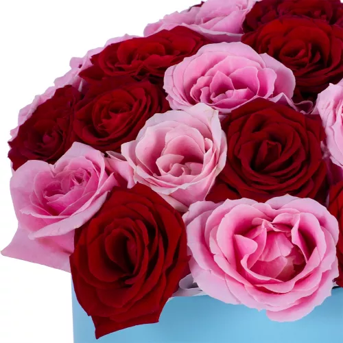 Букет из 35 разноцветных роз premium в голубой шляпной коробке