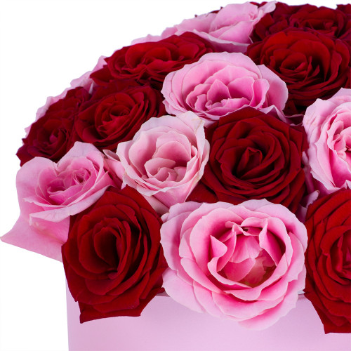 Букет из 35 разноцветных роз premium в розовой шляпной коробке