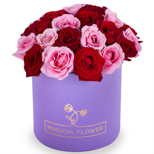 Букет из 35 разноцветных роз premium в фиолетовой шляпной коробке