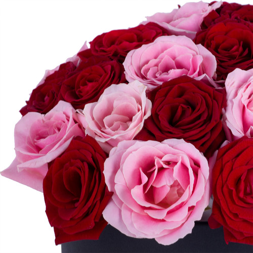 Букет из 35 разноцветных роз premium в черной шляпной коробке