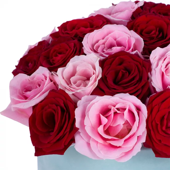 Букет из 35 разноцветных роз premium в зеленой бархатной шляпной коробке Букет из 35 разноцветных роз premium в зеленой бархатной шляпной коробке