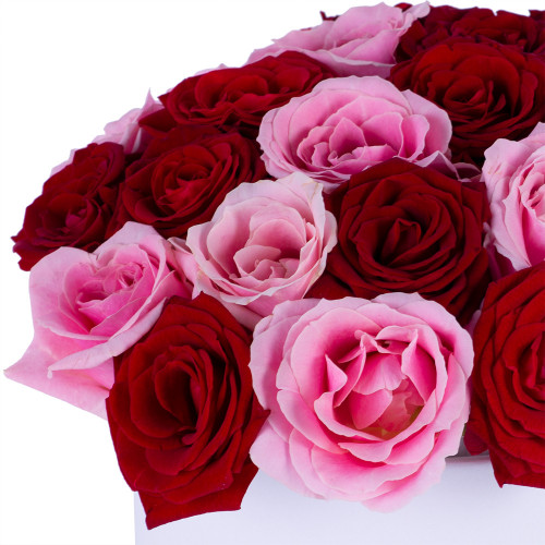 Букет из 35 разноцветных роз premium в белой шляпной коробке